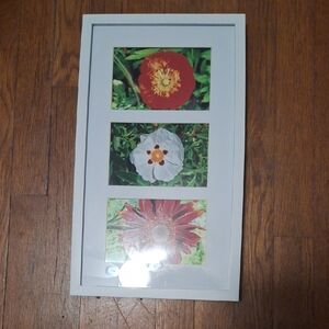 Floral Art Print in White Frame